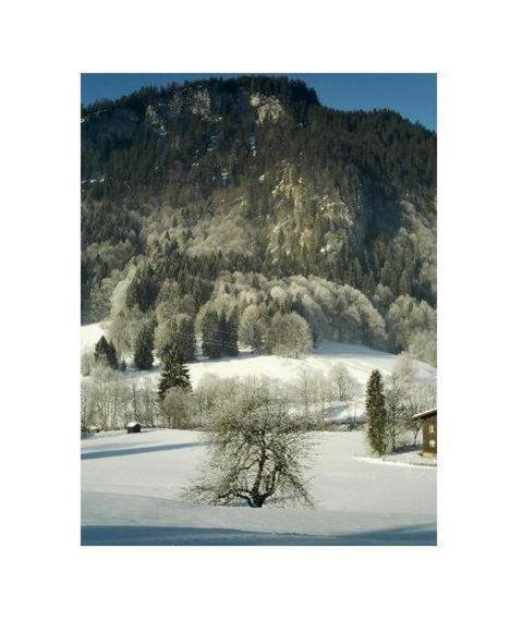 Falkenstein-Wohnung-4-Haus-B Oberstdorf Luaran gambar